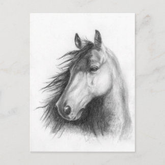 Moe the Morgan portret briefkaart