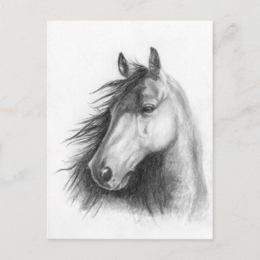 Moe the Morgan portret briefkaart (Voorkant)