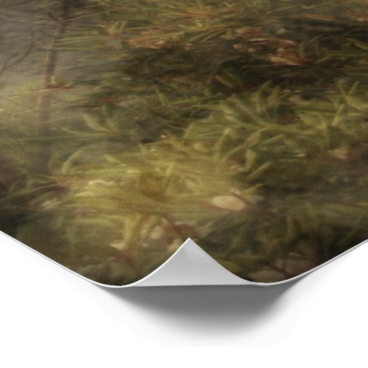 Moeder Aarde Poster (Hoek)