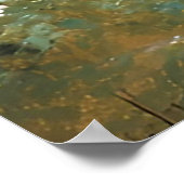 Moeder Beer met welpen in een bosrijke omgeving Poster (Hoek)