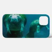 Moeder beheert met haar kalf in de Crystal River Case-Mate iPhone Case (Achterkant (horizontaal))