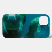 Moeder beheert met haar kalf in de Crystal River Case-Mate iPhone Case (Achterkant (horizontaal))