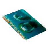 Moeder beheert met haar kalf in de Crystal River Magneet (Rechterzijde)