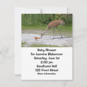 Moeder Bird en Baby Bird Sandhill Cranes Kaart (Voorkant)