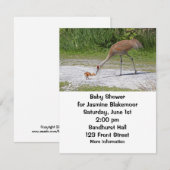 Moeder Bird en Baby Bird Sandhill Cranes Kaart (Voorkant / Achterkant)