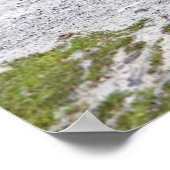 Moeder Bird en Baby Bird Sandhill Cranes Poster (Hoek)