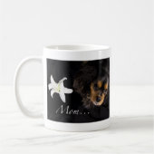 Moeder…Cavalier King Charles Spaniel Mok (Links)