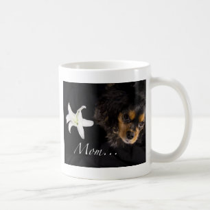 Moeder…Cavalier King Charles Spaniel Mok