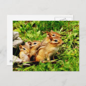 moeder chipmunk en baby’ s briefkaart (Voorkant / Achterkant)