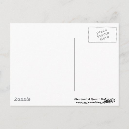 moeder chipmunk en baby’ s briefkaart (Achterkant)