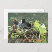 Moeder Coot met Jong Moederdag Briefkaart (Voorkant / Achterkant)