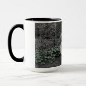 Moeder Daughters 1890 Heirloom Gardening Garden Mok (Links)