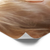 Moeder die haar kind borstvoeding geeft poster (Hoek)