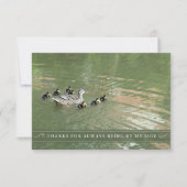 Moeder eend en eendjes bij mijn zij flat bedankkaart (Voorkant)