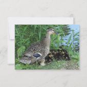 Moeder Eend en Eendjes Docenten Waardering Bedankkaart (Voorkant)