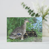 Moeder eend en eendjes Leraar Waardering Bedankkaart (Staand voorkant)