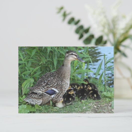 Moeder eend en eendjes Leraar Waardering Bedankkaart (Staand voorkant)