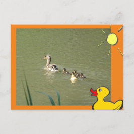 Moeder Eend met Jong & Cartoons DIY Briefkaart