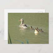 Moeder Eend met Jong DIY Briefkaart (Voorkant / Achterkant)