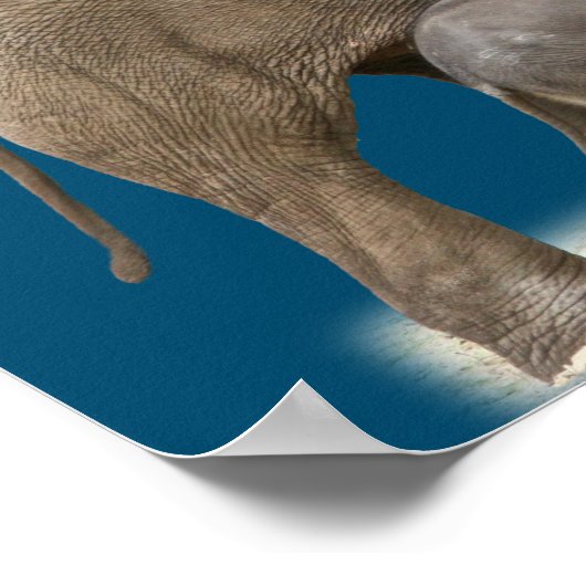 Moeder Elephant en baby Muurkunst Poster (Hoek)