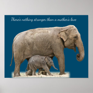 Moeder Elephant en baby Muurkunst Poster