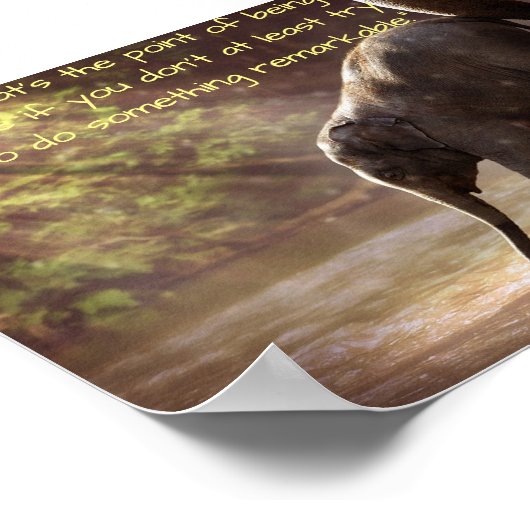 Moeder Elephant en Beste Calf Poster (Hoek)