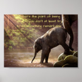Moeder Elephant en Beste Calf Poster (Voorkant)