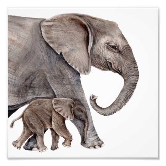 Moeder Elephant met Baby Elephant Photo Art Print Foto Afdruk (Voorkant)
