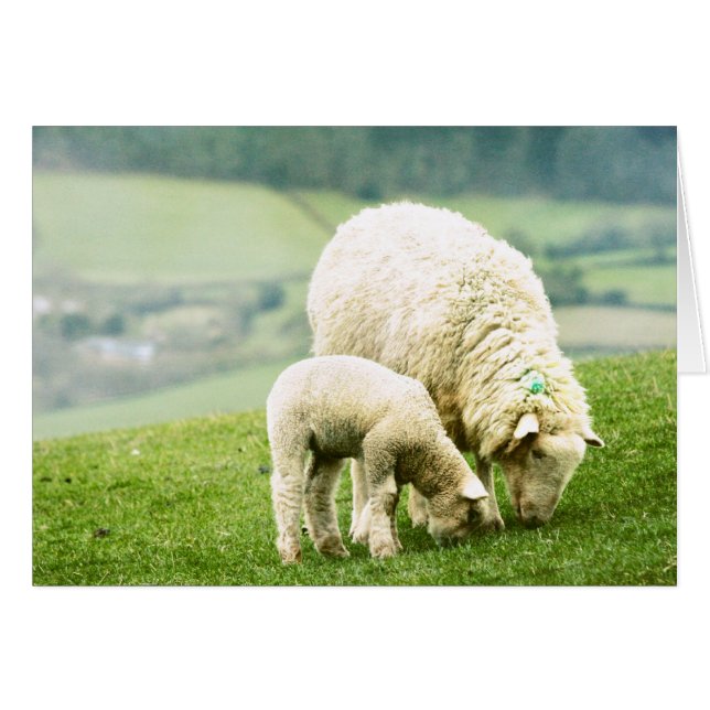 Moeder en Baby (Voorkant Horizontaal)