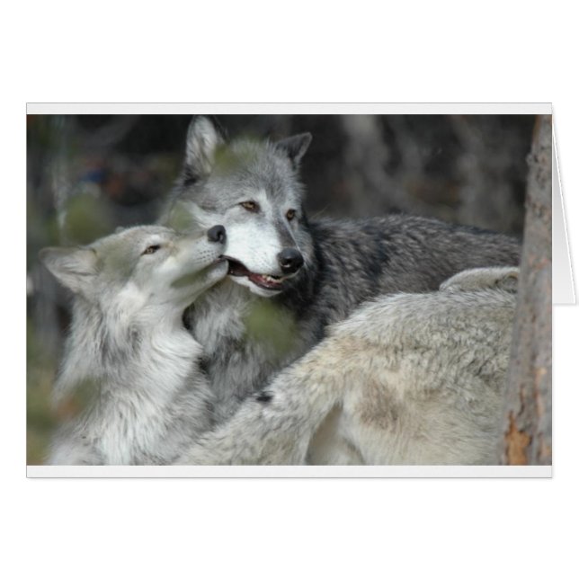 Moeder en Baby (Voorkant Horizontaal)