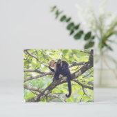 Moeder en Baby aap Briefkaart (Staand voorkant)