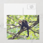 Moeder en Baby aap Briefkaart (Voorkant / Achterkant)