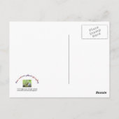Moeder en Baby aap Briefkaart (Achterkant)