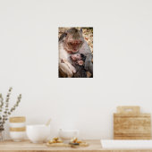 Moeder en Baby aap Poster (Keuken)