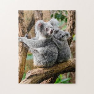 Moeder en baby Animal Koala BearFotografie Dier Legpuzzel