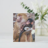 Moeder en Baby Baboon Briefkaart (Staand voorkant)