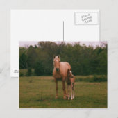 Moeder en baby briefkaart (Voorkant / Achterkant)