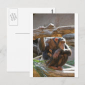 Moeder en Baby Briefkaart (Voorkant / Achterkant)