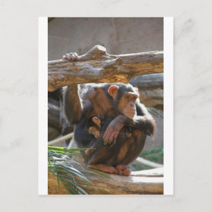 Moeder en Baby Briefkaart