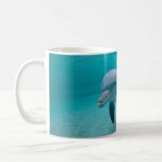 MOEDER EN BABY CALF DOLPHIN KOFFIEMOK (Links)