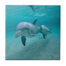 MOEDER EN BABY CALF DOLPHIN