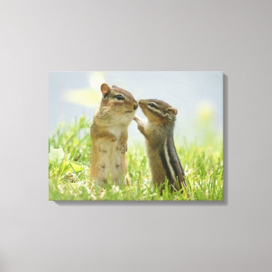 Moeder en Baby Chipmunk Canvas Afdruk (Voorkant)