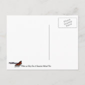 Moeder en Baby Deer in het natuurpark Shenandoah Briefkaart (Achterkant)