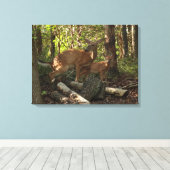 Moeder en Baby Deer in het natuurpark Shenandoah Canvas Afdruk (Insitu (Houten vloer))