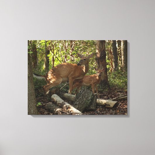 Moeder en Baby Deer in het natuurpark Shenandoah Canvas Afdruk (Voorkant)
