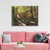 Moeder en Baby Deer in het natuurpark Shenandoah Canvas Afdruk (Insitu (Woonkamer))