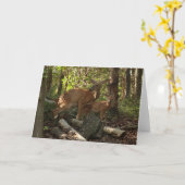 Moeder en Baby Deer in het natuurpark Shenandoah Kaart (Gele Bloem)