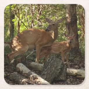 Moeder en Baby Deer in het natuurpark Shenandoah Kartonnen Onderzetters