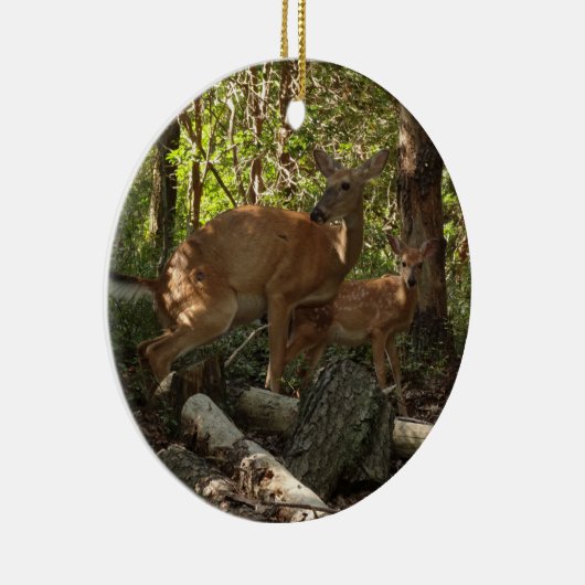 Moeder en Baby Deer in het natuurpark Shenandoah Keramisch Ornament (Rechts)