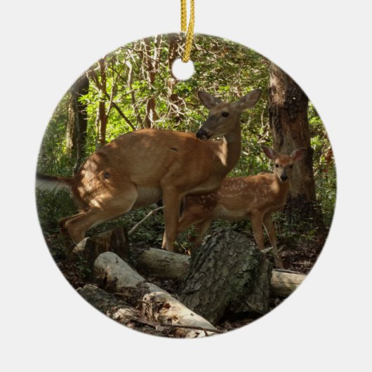 Moeder en Baby Deer in het natuurpark Shenandoah Keramisch Ornament (Voorkant)